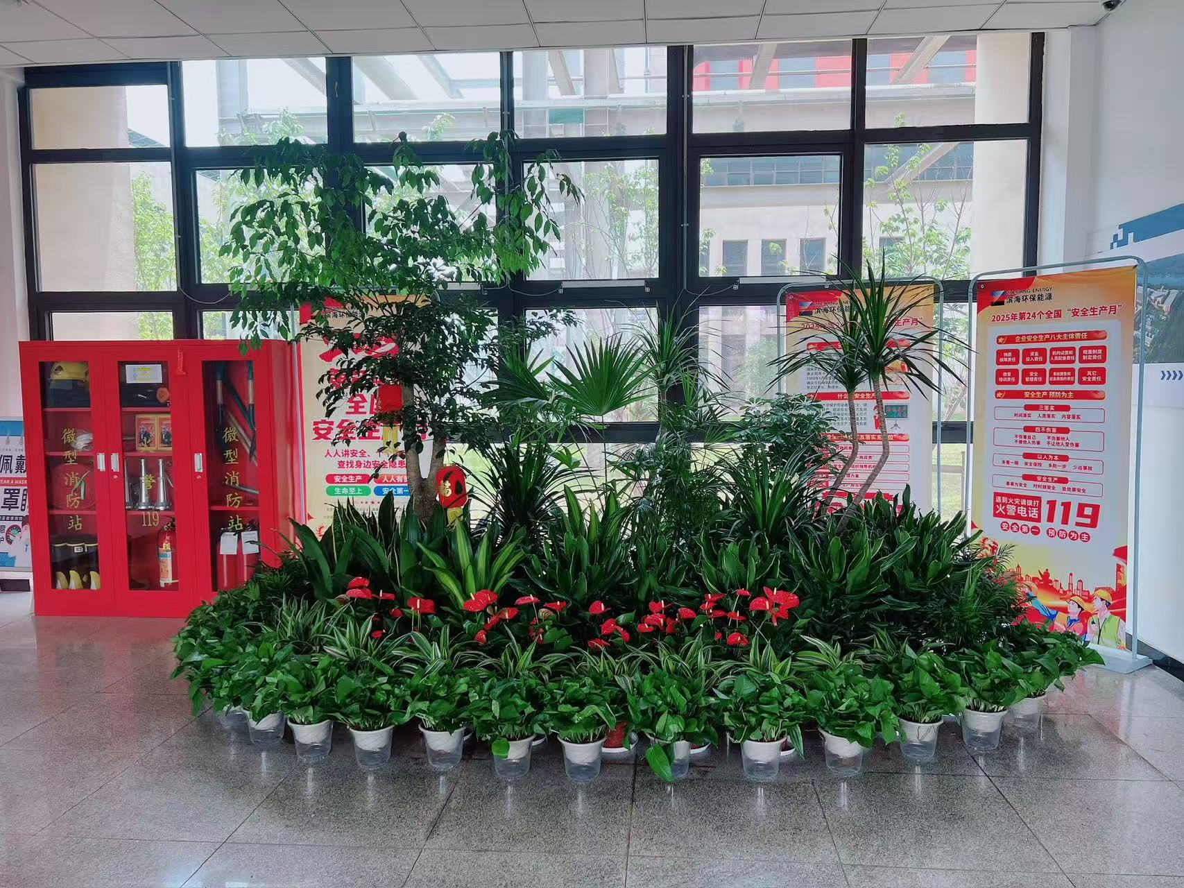 紧跟潮流！宁波镇海盆景出租设计惊艳来袭